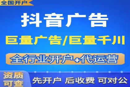 谷歌竞价广告与SEO结合的营销案例解析